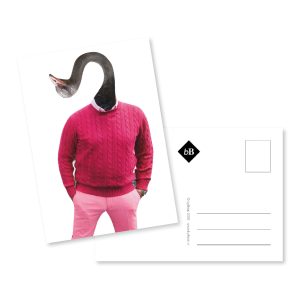 Kaartje collage Meneer Struisvogel